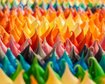 thumb-image-2024-02-29T13:57:24.755Z