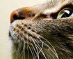thumb-image-2024-02-29T13:57:25.029Z