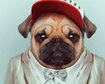 thumb-image-2024-02-29T13:57:26.023Z