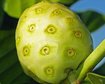 thumb-image-2024-02-29T13:57:26.335Z