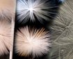 thumb-image-2024-02-29T13:57:26.540Z