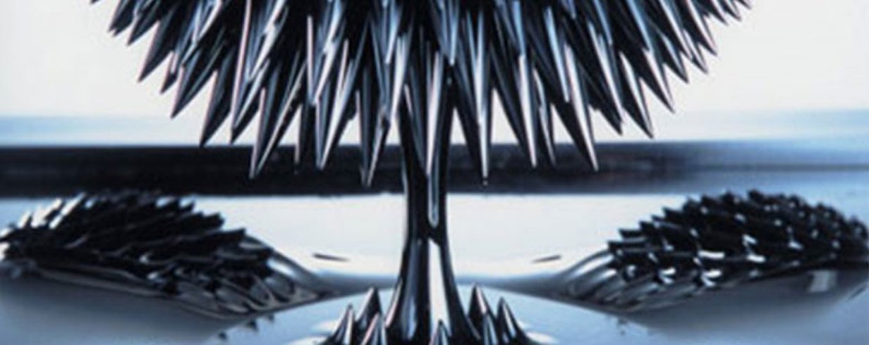 thumb-image-2024-02-29T13:57:26.827Z