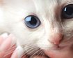 thumb-image-2024-02-29T13:57:26.836Z