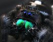 thumb-image-2024-02-29T13:57:27.060Z