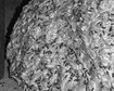 thumb-image-2024-02-29T13:57:27.479Z