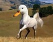 thumb-image-2024-02-29T13:57:27.758Z