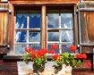 thumb-image-2024-02-29T13:57:28.095Z