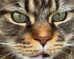thumb-image-2024-02-29T13:57:28.163Z