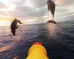 thumb-image-2024-02-29T13:57:28.597Z