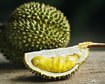 thumb-image-2024-02-29T13:57:28.632Z