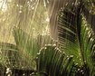 thumb-image-2024-02-29T13:57:28.915Z