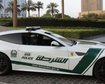 thumb-image-2024-02-29T13:57:28.975Z