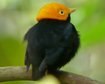 thumb-image-2024-02-29T13:57:29.125Z