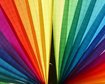 thumb-image-2024-02-29T13:57:29.347Z