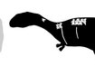 thumb-image-2024-02-29T13:57:29.366Z
