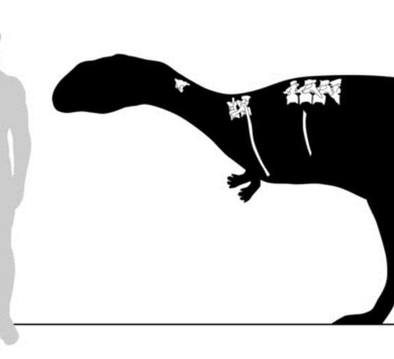 Paleontólogos identificam nova espécie de dinossauro