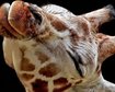 thumb-image-2024-02-29T13:57:30.158Z
