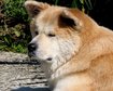 thumb-image-2024-02-29T13:57:30.226Z