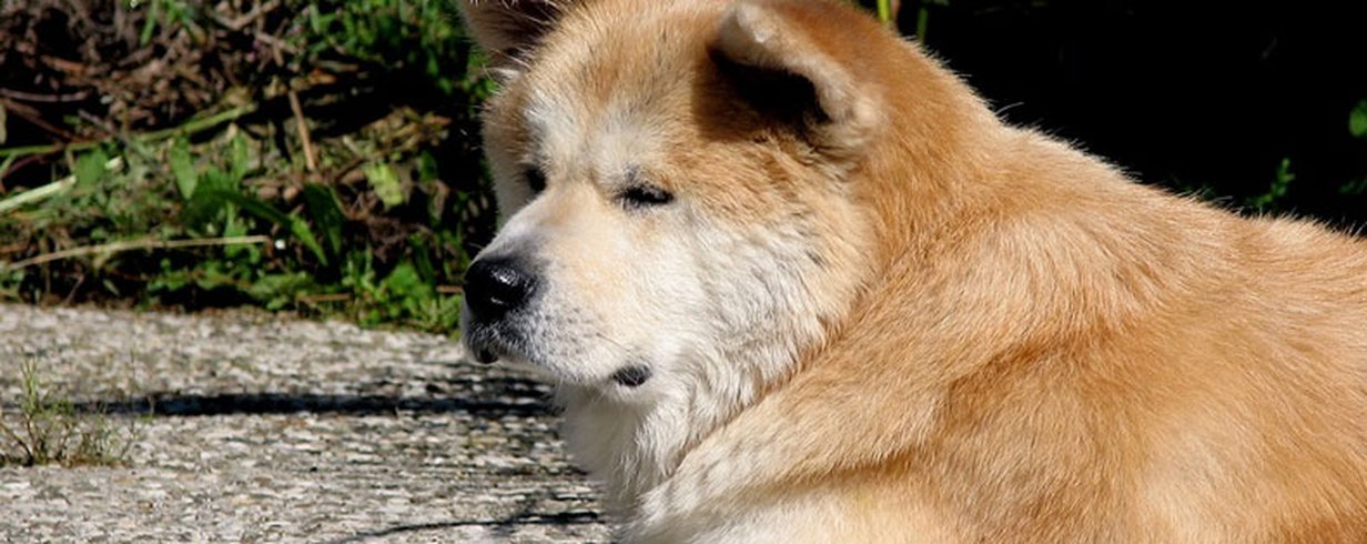 thumb-image-2024-02-29T13:57:30.226Z