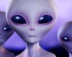 thumb-image-2024-02-29T13:57:31.010Z