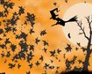 thumb-image-2024-02-29T13:57:31.508Z