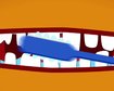 thumb-image-2024-02-29T13:57:32.249Z