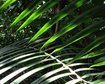 thumb-image-2024-02-29T13:57:32.328Z