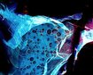 thumb-image-2024-02-29T13:57:32.706Z