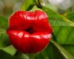 thumb-image-2024-02-29T13:57:33.670Z