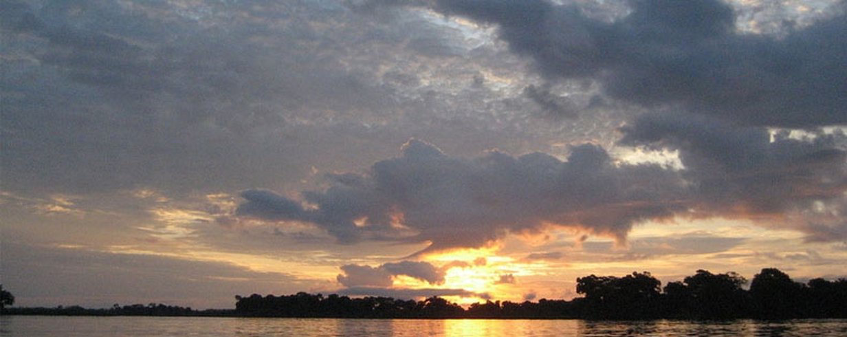 thumb-image-2024-02-29T13:57:33.760Z