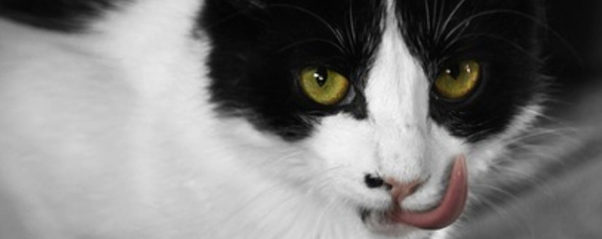 thumb-image-2024-02-29T13:57:33.773Z