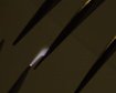 thumb-image-2024-02-29T13:57:34.039Z