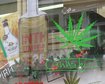 thumb-image-2024-02-29T13:57:34.307Z