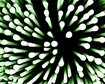 thumb-image-2024-02-29T13:57:34.349Z
