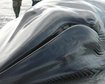 thumb-image-2024-02-29T13:57:34.693Z