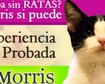 thumb-image-2024-02-29T13:57:35.105Z
