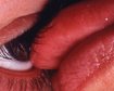 thumb-image-2024-02-29T13:57:35.115Z