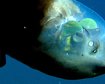 thumb-image-2024-02-29T13:57:35.281Z