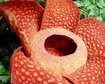 thumb-image-2024-02-29T13:57:35.431Z