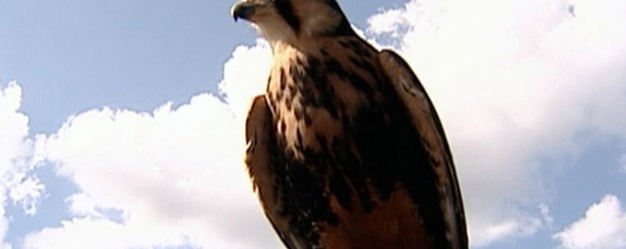 thumb-image-2024-02-29T13:57:35.509Z