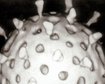 thumb-image-2024-02-29T13:57:35.640Z