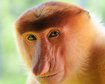 thumb-image-2024-02-29T13:57:35.936Z