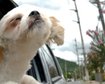 thumb-image-2024-02-29T13:57:36.014Z
