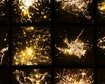 thumb-image-2024-02-29T13:57:36.187Z