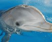 thumb-image-2024-02-29T13:57:36.208Z