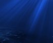 thumb-image-2024-02-29T13:57:36.403Z