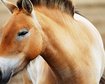 thumb-image-2024-02-29T13:57:36.646Z