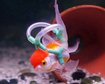 thumb-image-2024-02-29T13:57:37.105Z