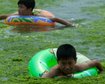 thumb-image-2024-02-29T13:57:37.788Z