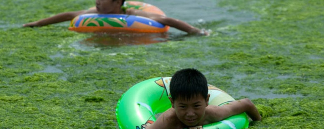 thumb-image-2024-02-29T13:57:37.788Z